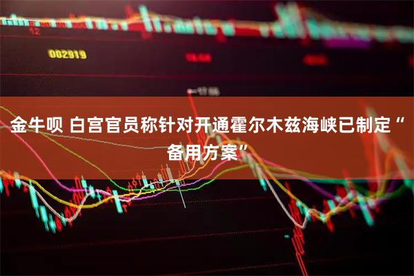 金牛呗 白宫官员称针对开通霍尔木兹海峡已制定“备用方案”